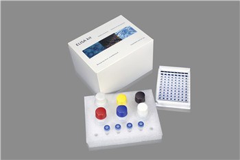 上海博灿生物科技/上海博灿生物科技技术咨询/博灿供