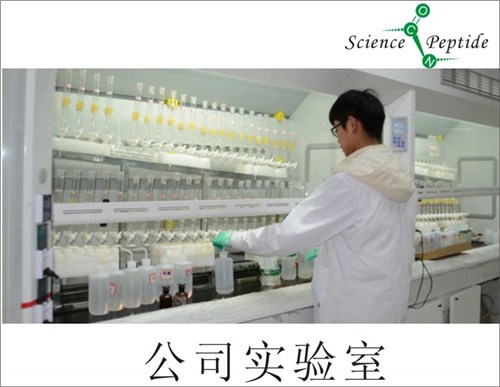 多肽合成哪家好/科肽供应/多肽合成品质保证