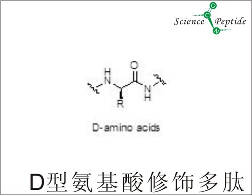 D型氨基酸修饰多肽价格/D型氨基酸修饰多肽批发/科肽供
